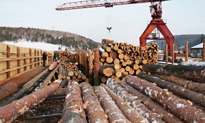 Первое в Челябинской области предприятие получит льготный заём ФРП по программе «Проекты лесной промышленности»