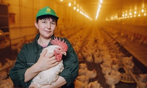 Эксперты ФЦК помогли Челябинской птицефабрике увеличить объемы производства почти вдвое